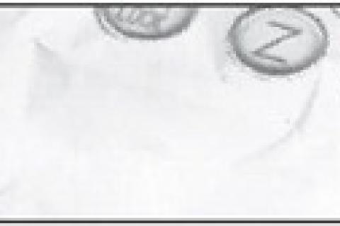 Article Image Alt Text