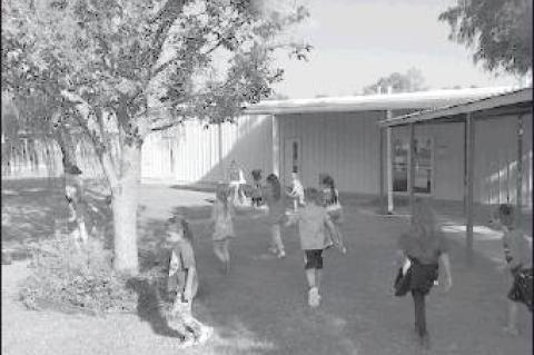 Article Image Alt Text