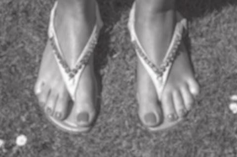 Problems That Can Lead To Lawn Damage