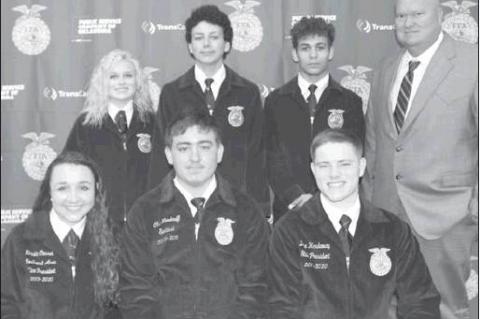 Article Image Alt Text