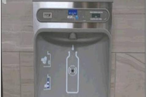 Doing Our Part for the Environment