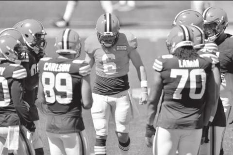 Article Image Alt Text