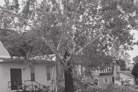 Photos by Bob Melton and Zane Feken