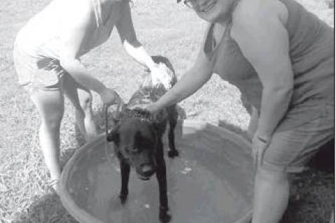 Article Image Alt Text