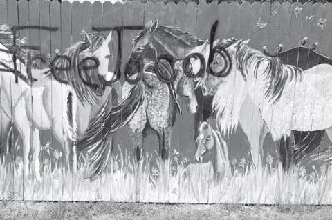 Community Artwork Defaced by Vandal