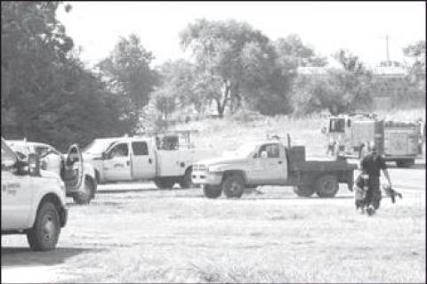 Article Image Alt Text