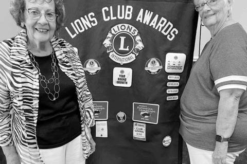 Ann Hastings, Board President