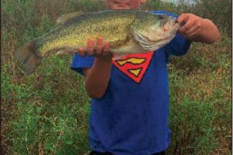 Article Image Alt Text