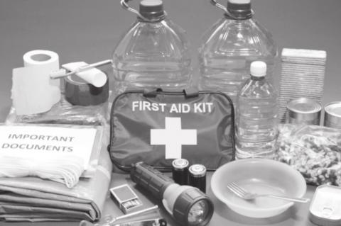 Article Image Alt Text