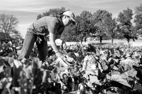 OSU’s Giving Tuesday Efforts to Focus on OSU Student Farm