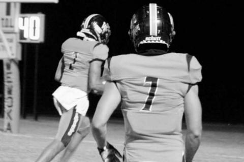 Article Image Alt Text