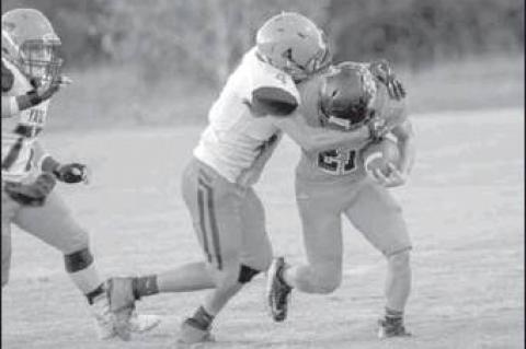 Article Image Alt Text