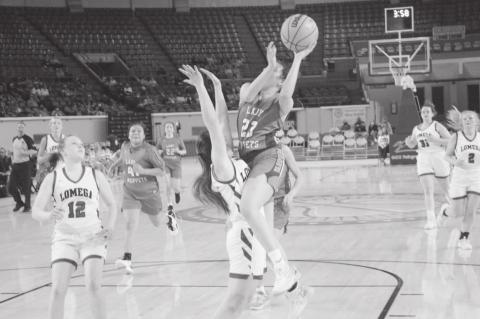 Varnum Whippets Advance to State Championship