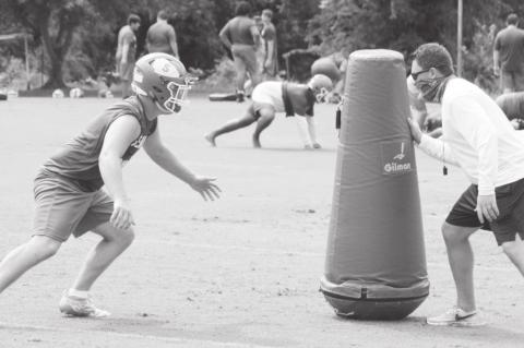 Article Image Alt Text