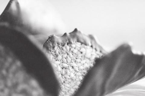 Go the Extra Mile When Indulging This Valentine's Day