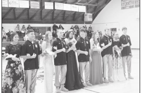 Article Image Alt Text