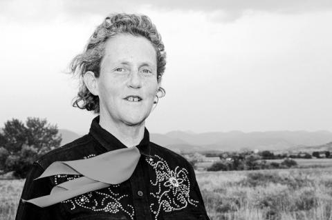 Grandin Speaks on Animal Welfare, More at SSC
