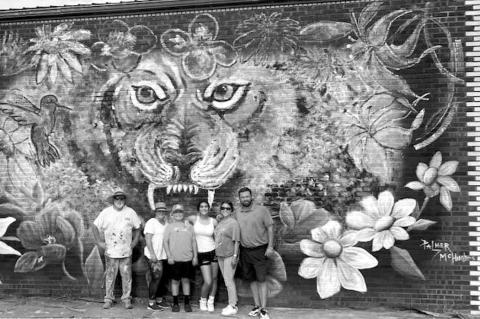 Article Image Alt Text