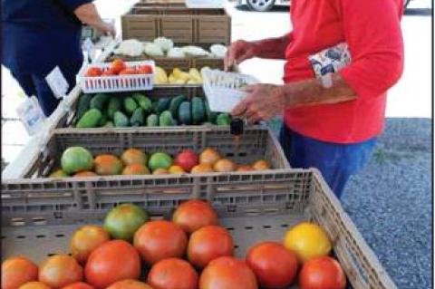 Article Image Alt Text