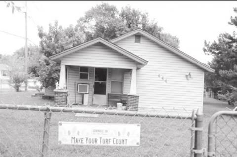 Article Image Alt Text