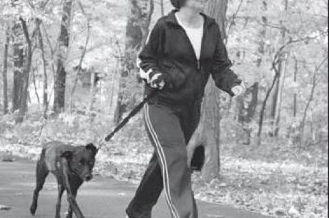 Article Image Alt Text