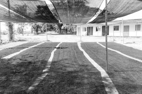 Article Image Alt Text