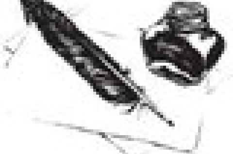 ‘Eat Mor Chikin,’ Suggest the Cows