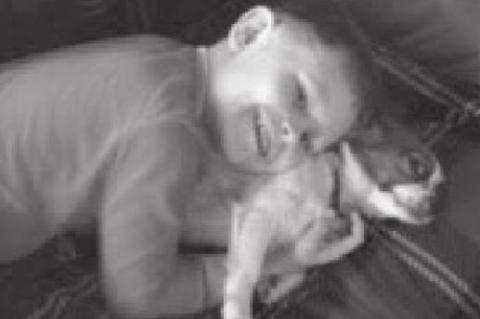 Article Image Alt Text