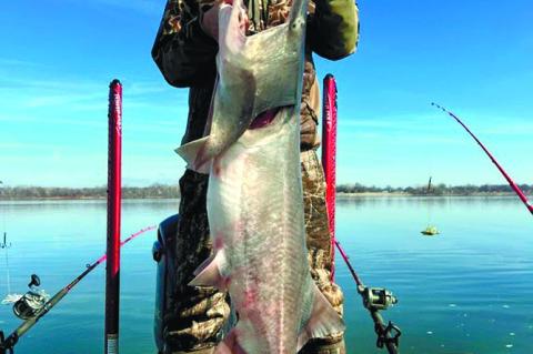 Latest Fishing Report For Oklahoma Waters