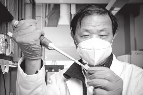 OSU Scientists Make Wheat Gene Discovery