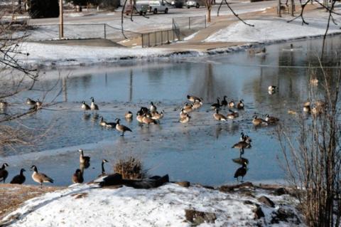 Old Man Winter Lessens Grip on Seminole County