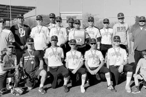 Article Image Alt Text