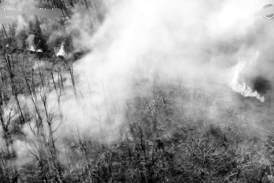 Animal Abandonment a Growing Problem in Seminole