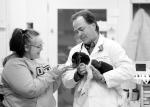 OSU Veterinary Medicine Authority Launches